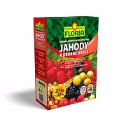 Abverkauf Floria OM Dünger für Erdbeeren und Obst 2,5 kg im Ausverkauf.