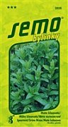 Abverkauf - Klassische Pfefferminze 0,15g *** - Abverkauf