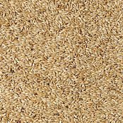 Futtermischung Kvídera Lesknice für Papageien 1 kg