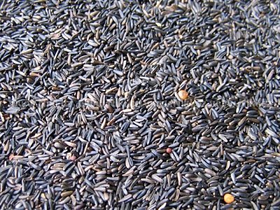 Krmné směsi Kvídera Niger 1 Kg