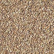 Futtermischungen Kvíder Hanfsamen abgewogen - Sämling 1 kg