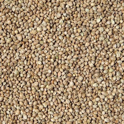 Futtermischungen Kvíder Hanfsamen abgewogen - Sämling 1 kg