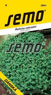 Gartenmelde Dänisch 6g *