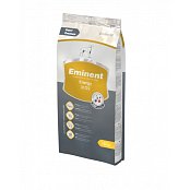 Herausragende Energie 1 kg