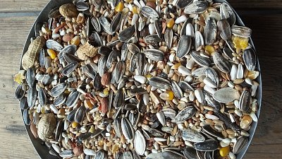 Kampol Zob für große Papageien 1 kg