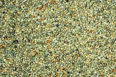Mischfutter Kvídera Grünbrust 25 kg