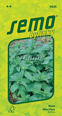 Pfefferminze 0,15 g