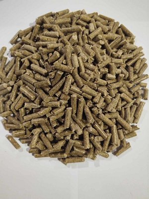 Pferd - Reiskeime - Reiskeime 20 kg