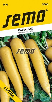 Radieschen gesät Lutea