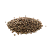 SEED