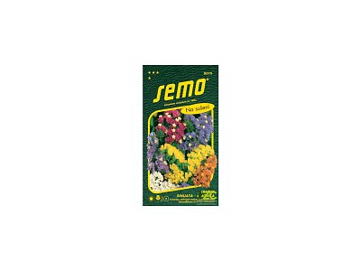 Statice - Limonka Směs *** *