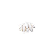 Tintenfischknochen mittel (15-20 cm) 1 Stück