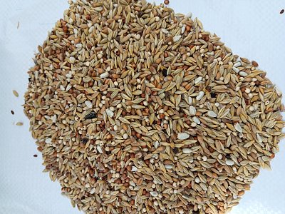Versele Laga n.v. Klassische entgiftende Diät (Grundmischung) 1 kg