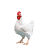 BROILER