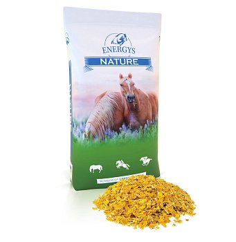 Energy-Cornflakes (Maisflocken, 15 kg)