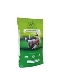 Energys činčila granule