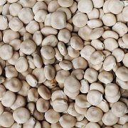 Futtermischung Kvídera Lupina (Zucker-Lupine) 1 kg