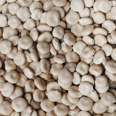 Futtermischung Kvídera Lupina (Zucker-Lupine) 1 kg