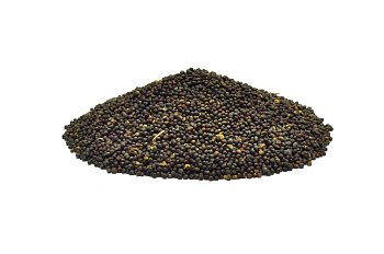 Futtermischung Kvídera Rübsen 1 kg