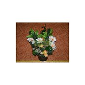 Futtermischungen Kvídera Blumen-Schale 3 gelb