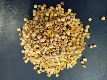 Hrách žlutý - Půlky s příměsí ječmene 1 kg