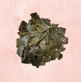 Grüne Erde GmbH Hanfkuchen 1 kg
