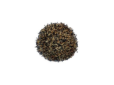 Kampol Zob für Kanarienvögel V101 10 kg