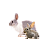 KANINCHEN UND HASEN