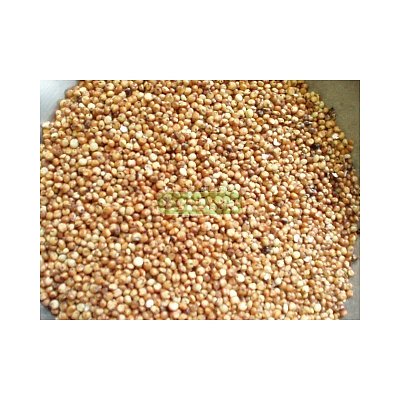 Futtermischungen Kvídera Sorghum 1 kg