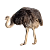 PTROSI