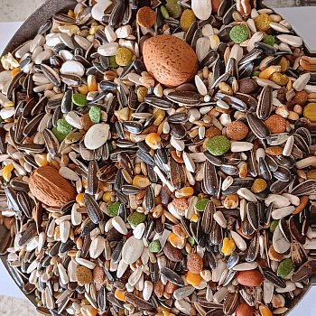 Versele Laga AG Mischung für Papageien Ara Loro Mix 1 kg