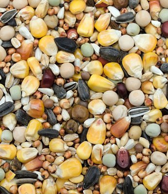 Zob für Tauben Sparmix ohne Weizen EK 25 kg