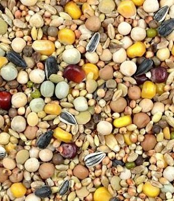 Zob für Tauben zur Aufzucht Start plus - RS+ 25 kg